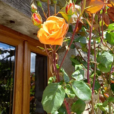 別荘 Petite Maison Avec Piscine *