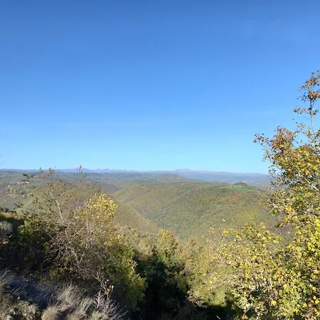 Petite Maison Avec Piscine
