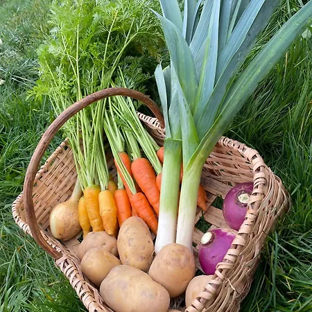 Petite Maison Avec Piscine